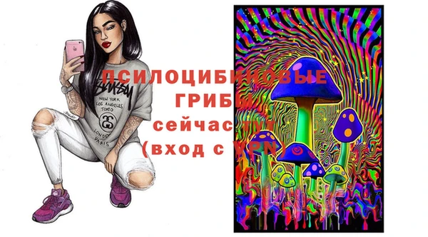 крисы Алзамай