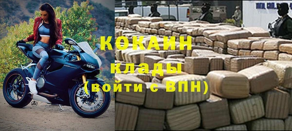 крисы Алзамай