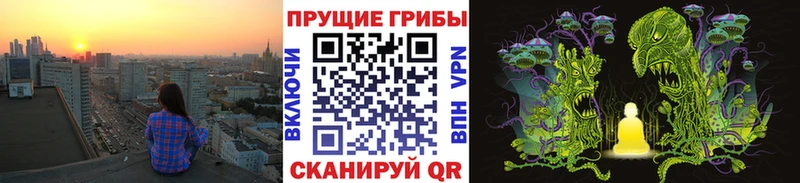 Галлюциногенные грибы Psilocybine cubensis  Крым 
